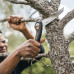 Сгъваем градински трион за клони Fiskars Plus™ SW69 21 cm
