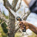 Сгъваем градински трион за клони Fiskars Plus™ SW69 21 cm