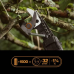 Акумулаторна телескопична резачка за високи клони Fiskars, до 6.0 m, ∅ 32 mm (само инструмент)