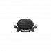 Барбекю на газ Weber® Q 1100N
