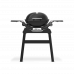 Барбекю на газ Weber® Q 1200N със стойка