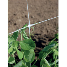 Мрежа за увивни растения HORTONOVA  H=2.04m x L=100m