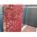 Декоративна ограда Хармоника - Червен японски клен H=1.0 x L=2.0m 
