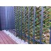 Декоративна ограда Хармоника Японски клен H=1.0 x L=2.0m Цвят: зелен
