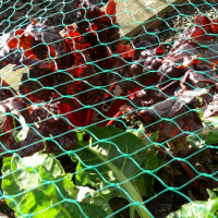 Мрежа против птици ROSSIMA H=6.0m L=5.0m Цвят бял