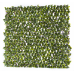 Декоративна ограда Хармоника Гардения H=1.0 x L=2.0m Цвят: Тъмно зелен