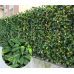 Декоративна ограда Хармоника ЛУКС - Маслина H=1.0 x L=2.0m Цвят зелен