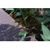 WPC декинг ROSSIMA ForestFeel 140x23 mm, L=2.0 m, двулицев, цвят антрацит